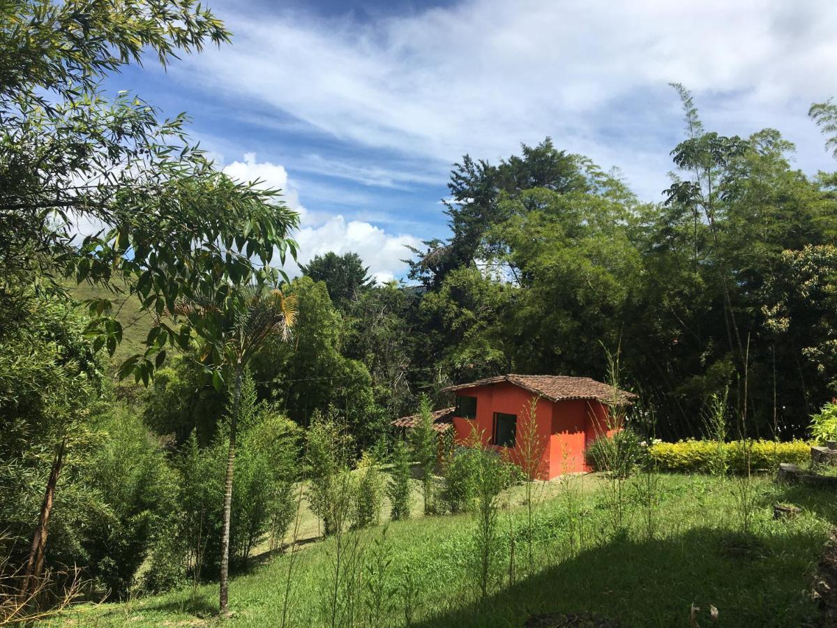 Ecolodge Bahia Del Penon Guatapé Екстериор снимка