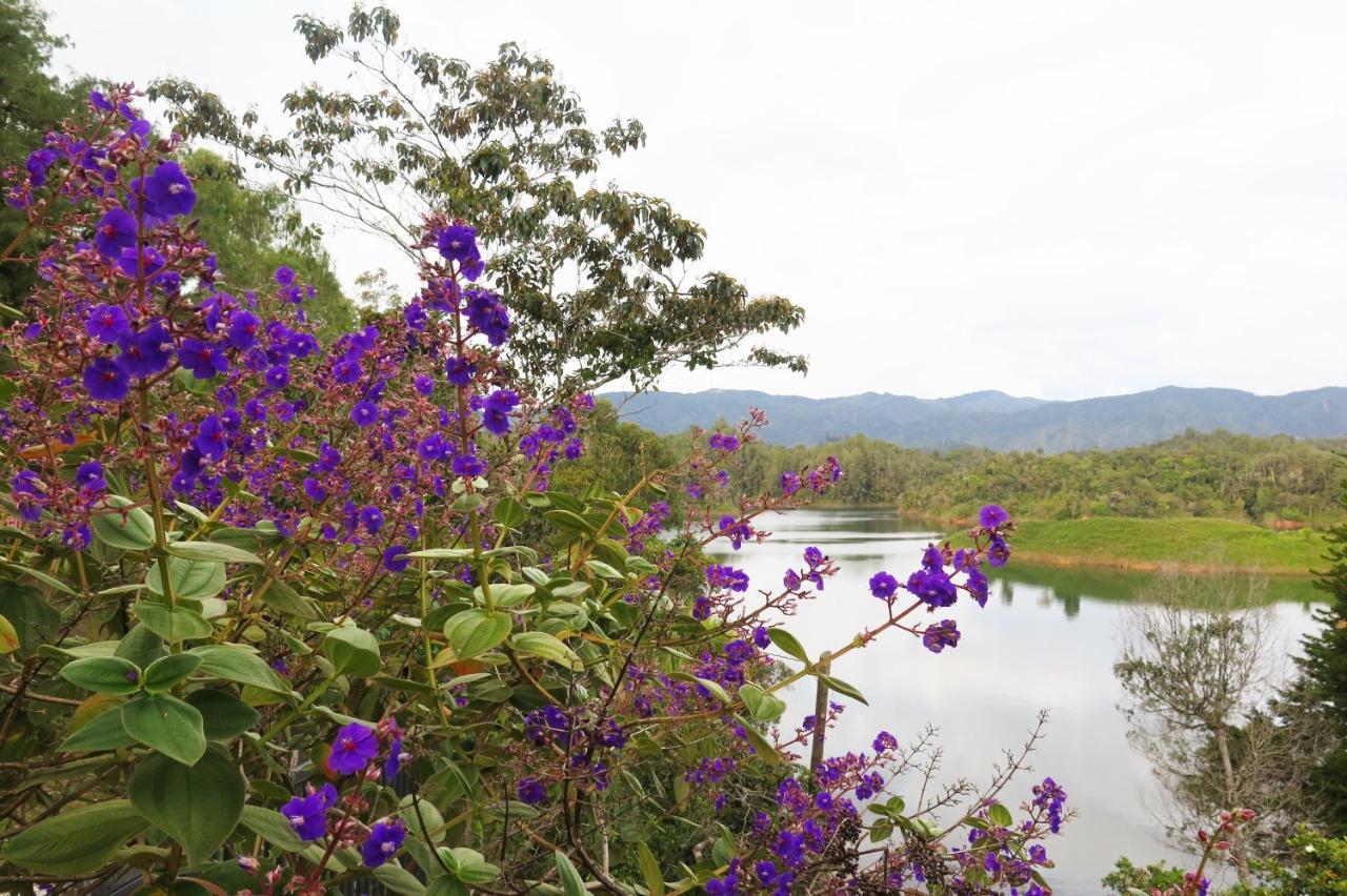 Ecolodge Bahia Del Penon Guatapé Екстериор снимка