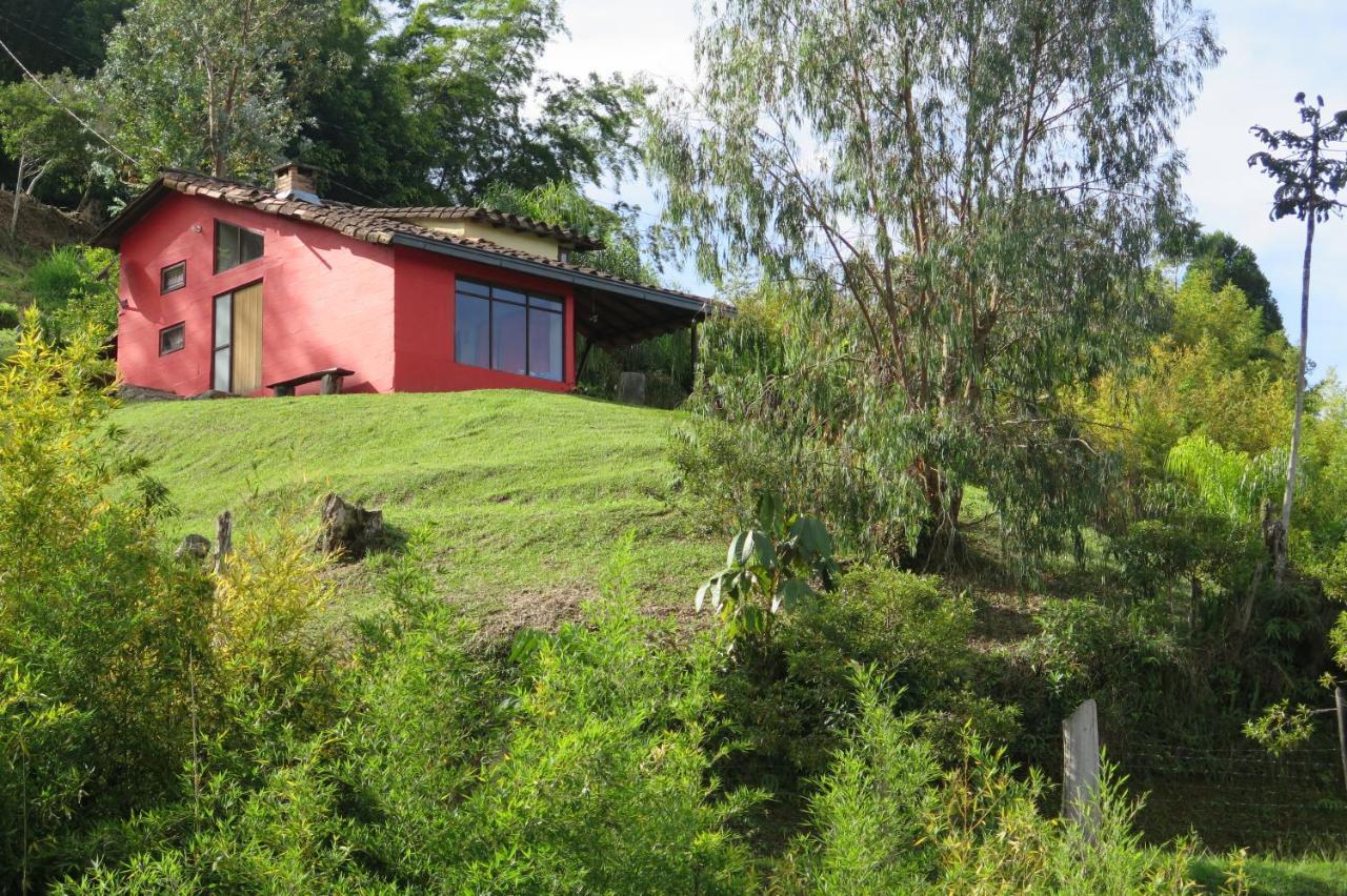 Ecolodge Bahia Del Penon Guatapé Екстериор снимка