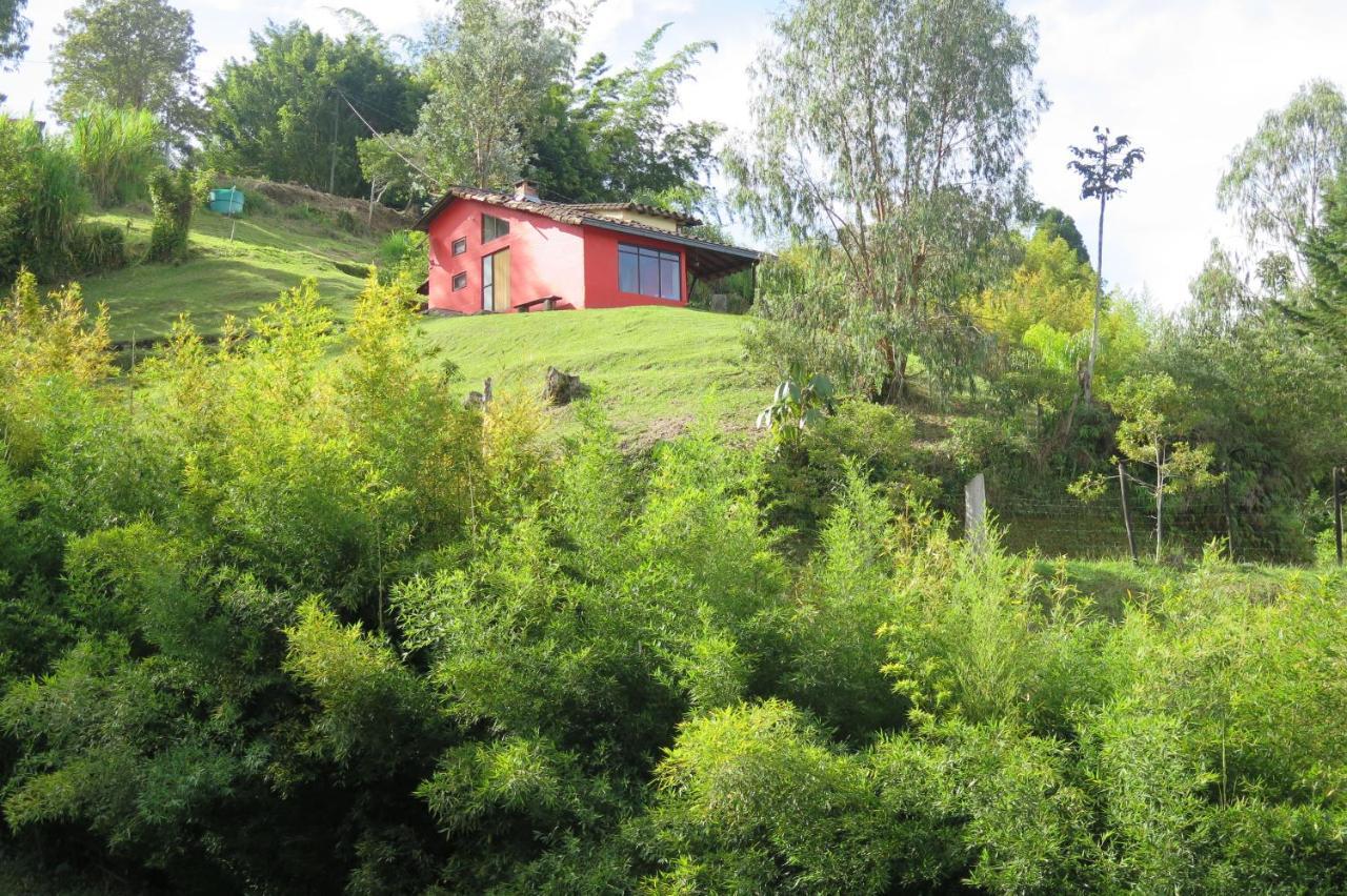 Ecolodge Bahia Del Penon Guatapé Екстериор снимка