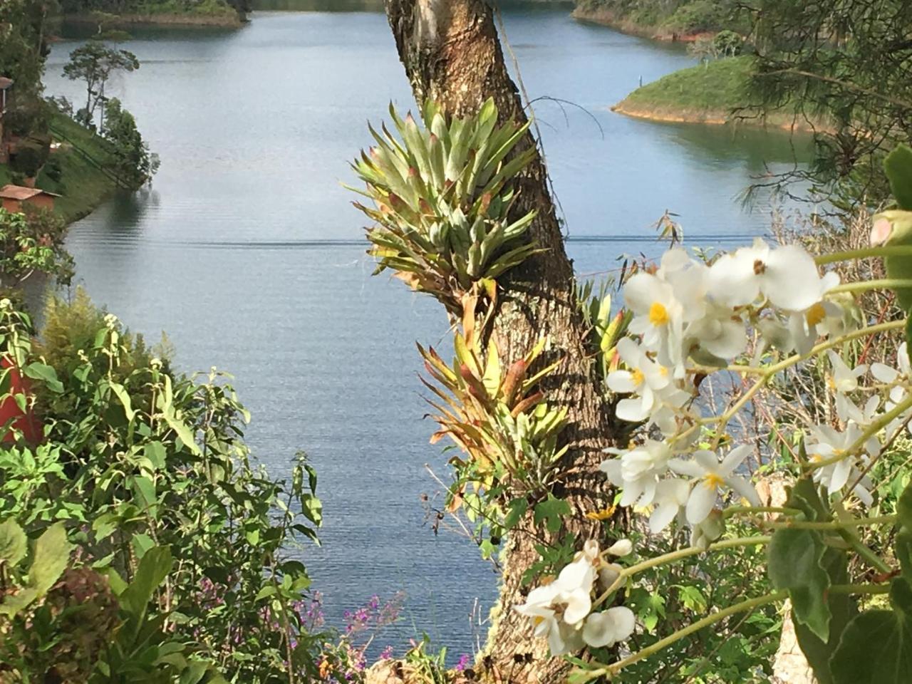Ecolodge Bahia Del Penon Guatapé Екстериор снимка