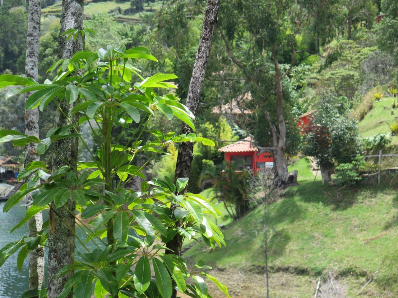 Ecolodge Bahia Del Penon Guatapé Екстериор снимка