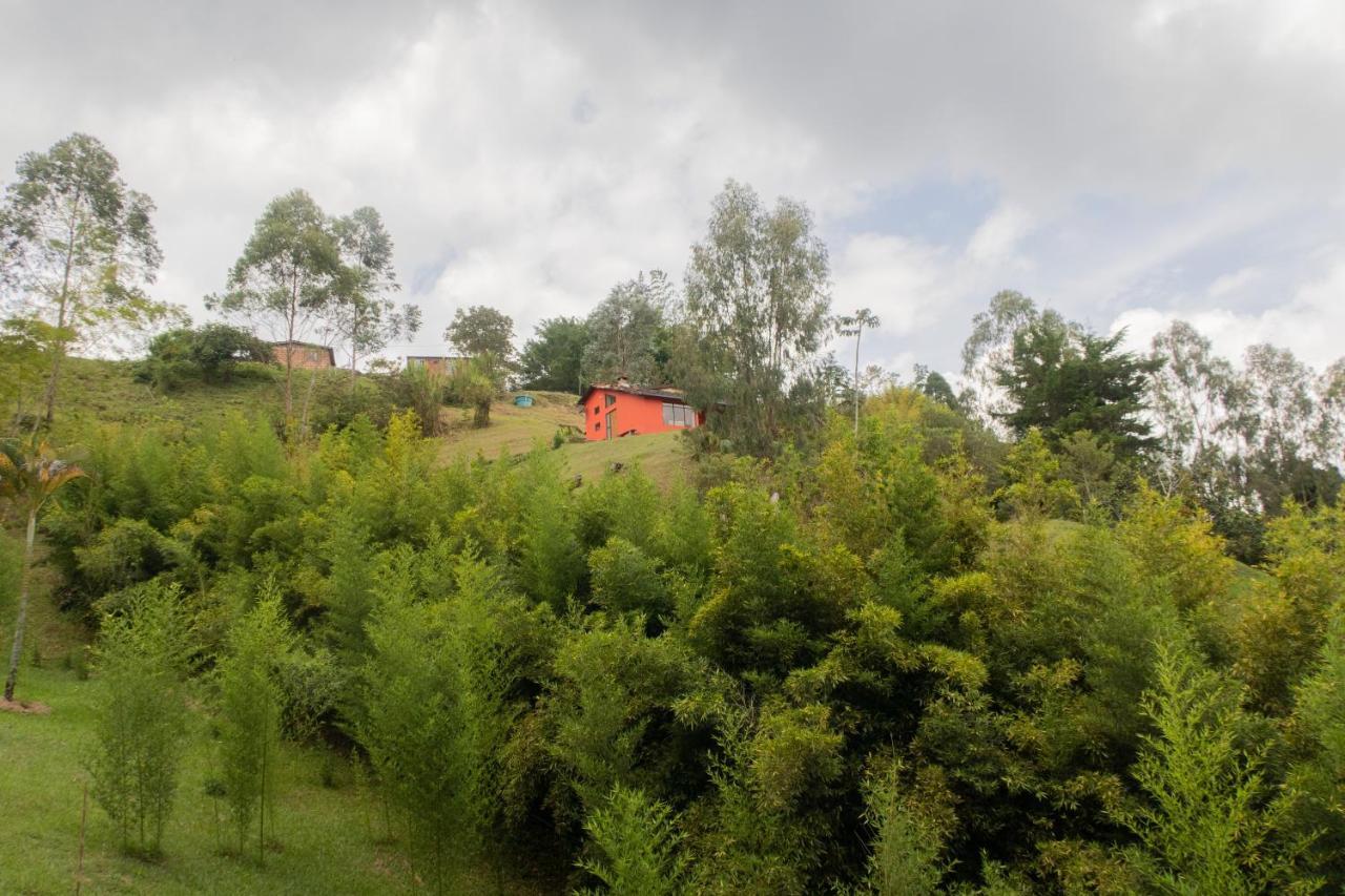 Ecolodge Bahia Del Penon Guatapé Екстериор снимка